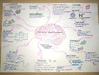 Моя профессия